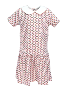 Autumn Blooms Short Sleeve Libby Dress With Peter Pan Collar