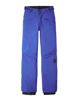 O'Neill Kids' Hammer Pants - Surf The Web Blue